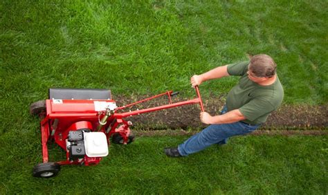 digging a trench with a mini digger|small trencher for sprinkler system.